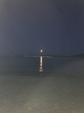 img_26062.jpg