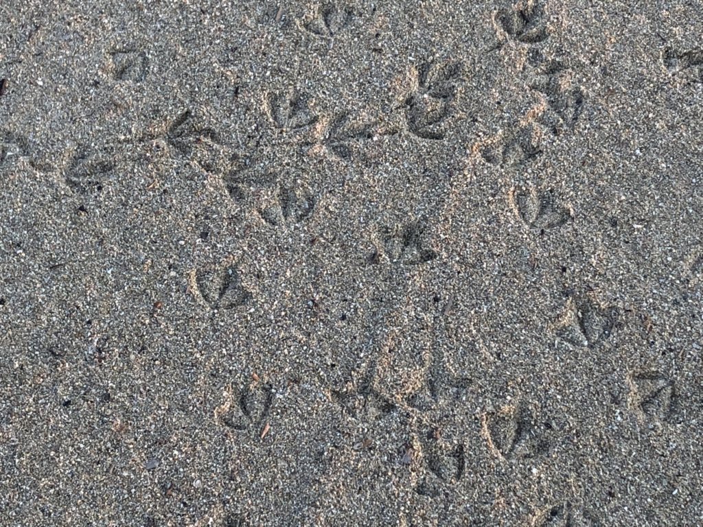 img3849.jpg