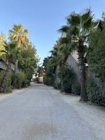 img2400.jpg