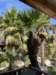 pobs3428_small.jpg