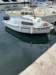wcsj7349_small.jpg